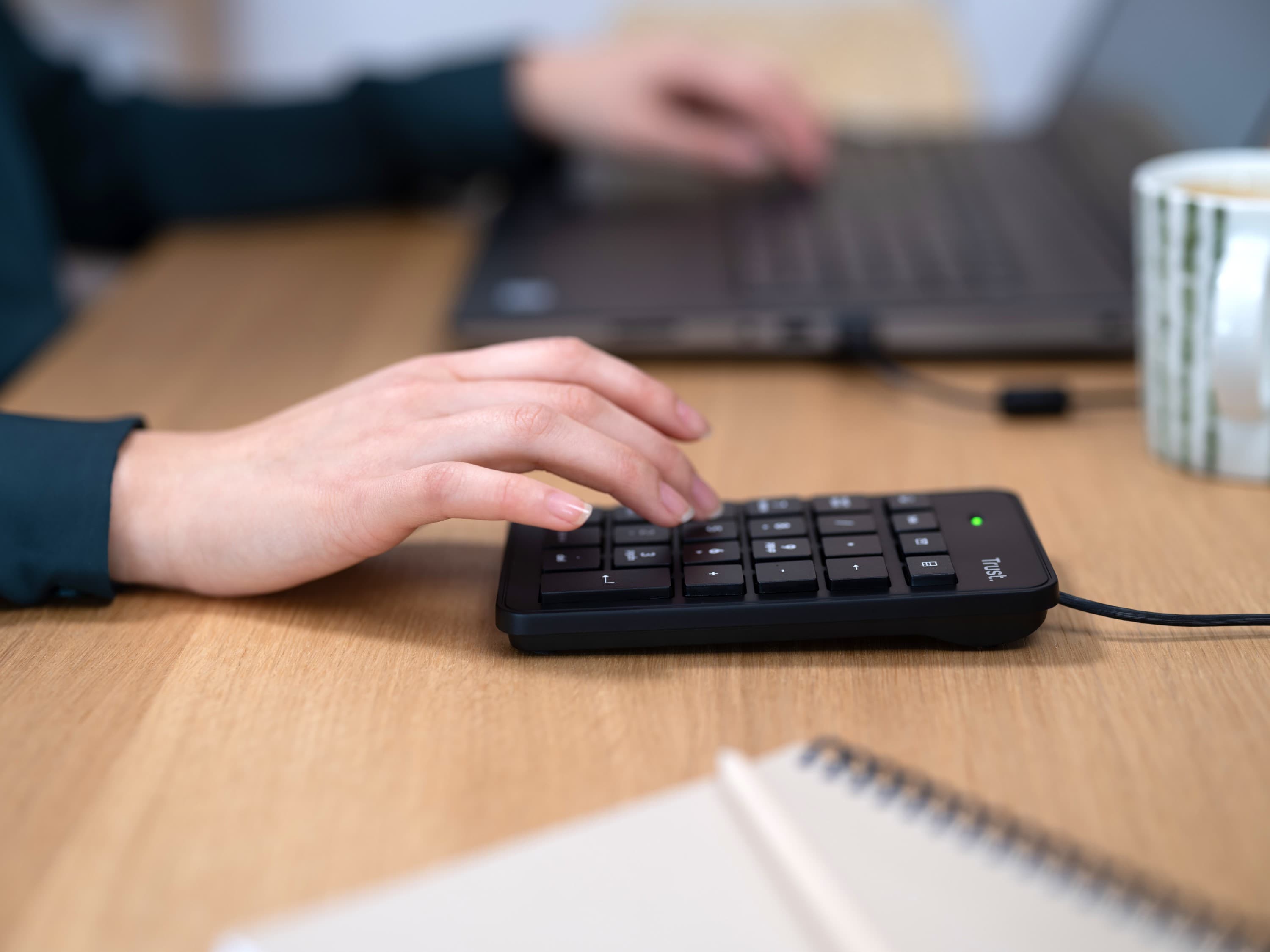 Fotografija proizvoda: Tastatura TRUST XALAS USB numericka/crna