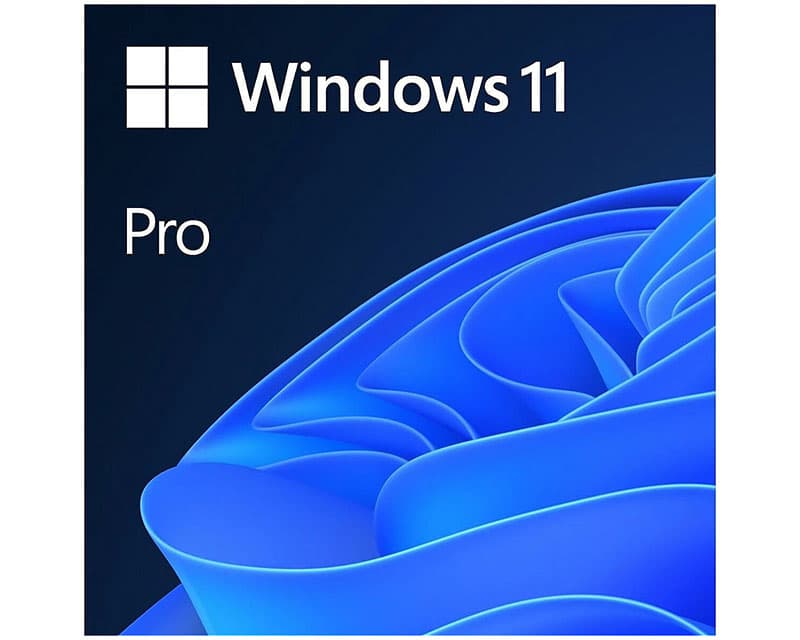 Fotografija proizvoda: Windows 11 Pro FPP 64-bit (HAV-00164)
