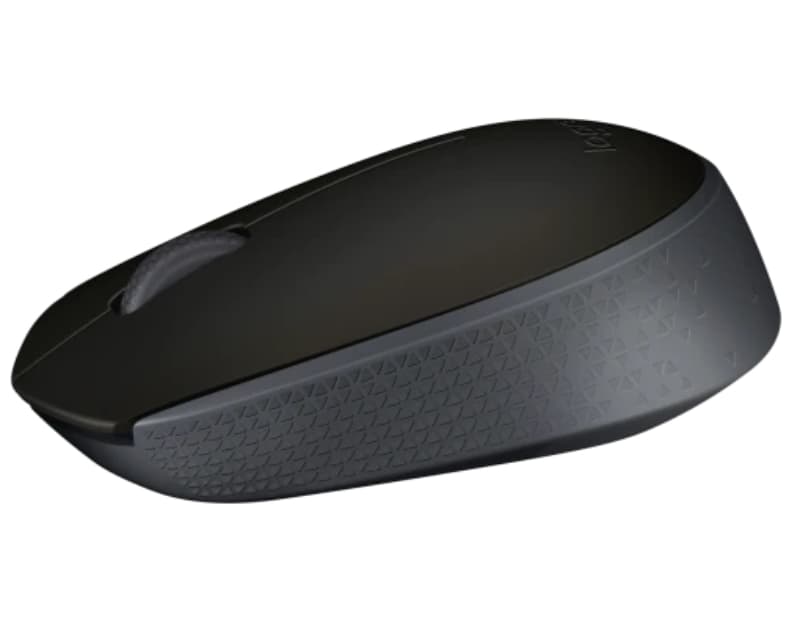Fotografija proizvoda: M171 Wireless crni miš x